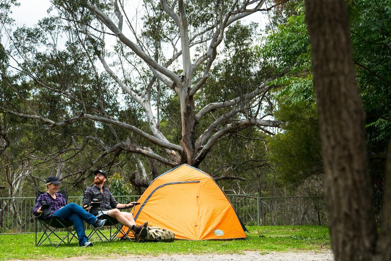 Discovery Parks - Lane Cove Sydney Exteriör bild