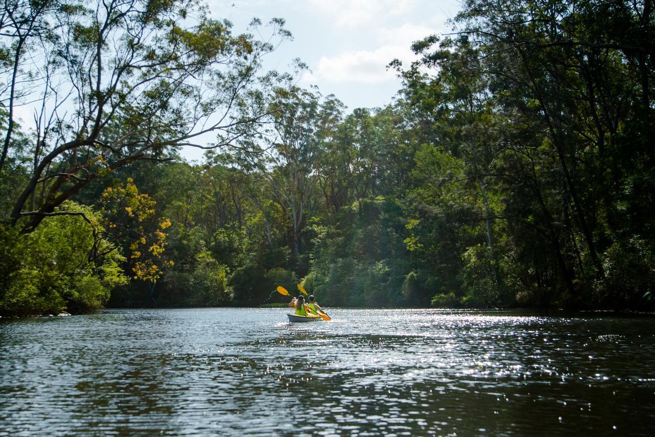 Discovery Parks - Lane Cove Sydney Exteriör bild