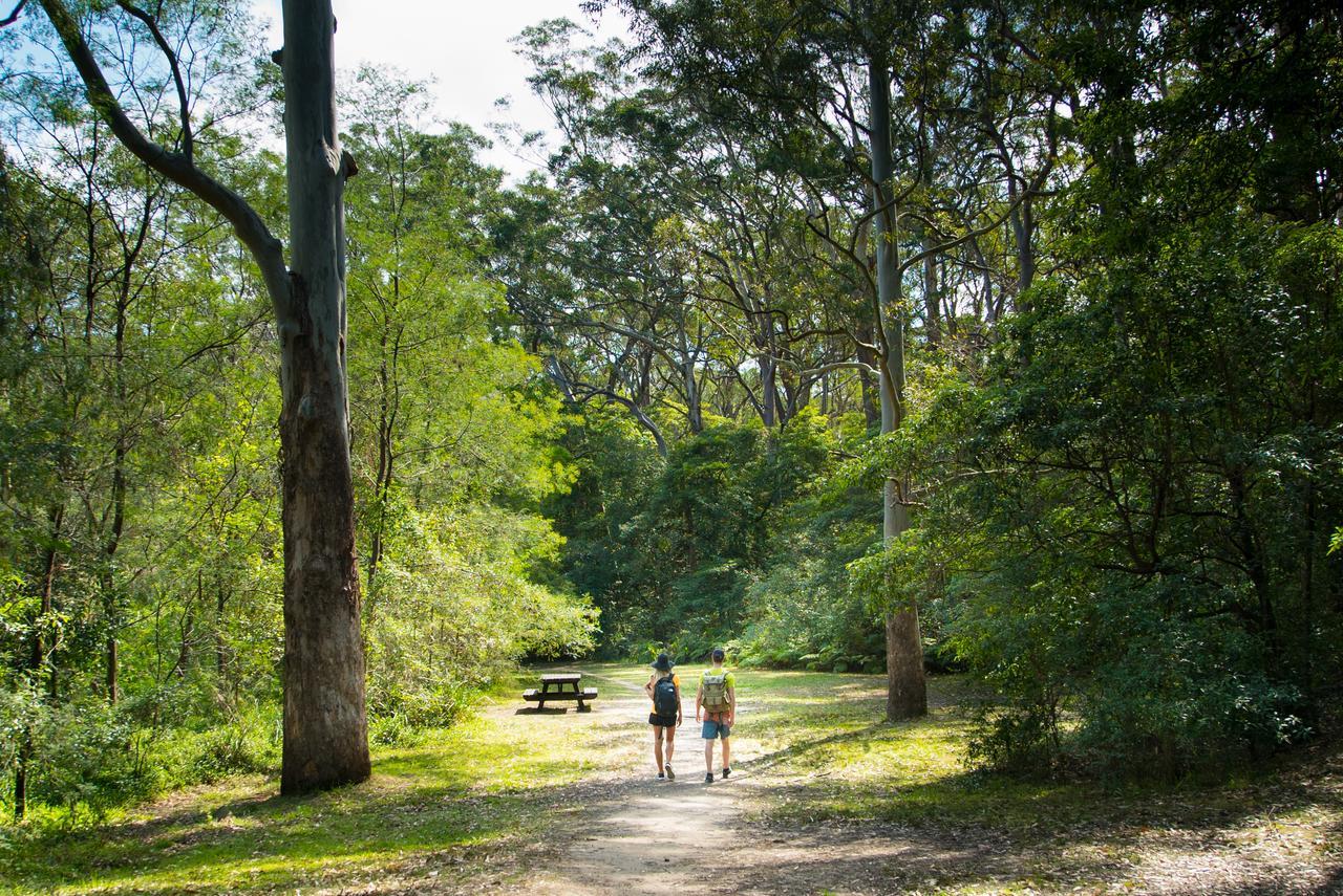 Discovery Parks - Lane Cove Sydney Exteriör bild