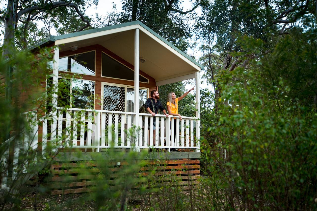 Discovery Parks - Lane Cove Sydney Exteriör bild